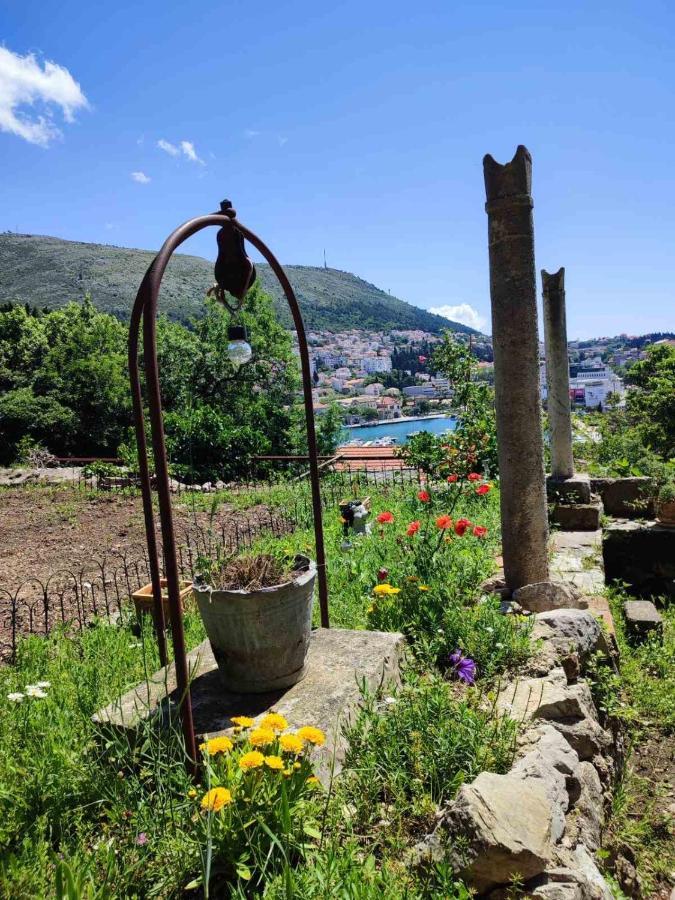 Peaceful House In Dubrovnik公寓 外观 照片